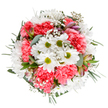 This exuberant bouquet, crafted in the style beloved throughout Muswell Hill, captures the essence of renewal and cheerful celebration. At the heart of the arrangement, crisp white daisies with bright lime-green centres glow among billowing clouds of coral-pink carnations, their ruffled petals offering soft, touchable texture and joyful colour. Sprigs of delicate gypsophila weave throughout, adding dreamy lightness, while blush-tinted alstroemeria and slender eucalyptus leaves peek between the larger blooms, balancing the palette with gentle fragrance and cool green hues reminiscent of pathways through nearby Priory Park. The bouquet's playful roundness and intentional flow mirror the community's spirited energy and lend the arrangement an airy, buoyant charm. Designed to express gratitude, encouragement, or simple happiness, this bouquet brings the warmth of local Muswell Hill florists to special moments-whether brightening a kitchen table or offering comfort to a neighbour. Its fresh-cut brilliance and textured abundance echo Muswell Hill's vibrant landscapes and the boundless joy found in gifting nature's beauty.